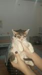     
: jX7A-kG4v2A.jpg
: 25
:	24.4 
ID:	10097686