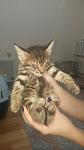     
: Yy3vz1vIgU4.jpg
: 19
:	32.6 
ID:	10097687