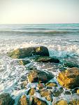     
: IMG_20150723_063451~2.jpg
: 86
:	151.1 
ID:	10099796