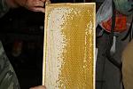     
: DSC02811.jpg
: 48
:	157.8 
ID:	10100933