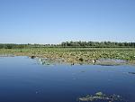     
: DSC03626.jpg
: 6
:	99.9 
ID:	10101651