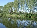     
: DSC03624.jpg
: 8
:	229.6 
ID:	10101666