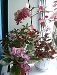     
: xLwUCYOYYsw.jpg
: 4
:	71.3 
ID:	10102413