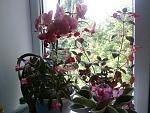     
: AUA1FyFrbMY.jpg
: 5
:	75.7 
ID:	10102414