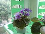     
: Vd-gD8p5KwA.jpg
: 6
:	55.0 
ID:	10102419