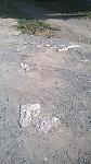     
: WP_20150716_08_44_09_Pro.jpg
: 10
:	113.3 
ID:	10103270