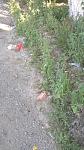     
: WP_20150716_08_40_09_Pro.jpg
: 7
:	123.9 
ID:	10103280