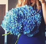     
: image.jpg
: 5
:	81.6 
ID:	10103870