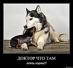     
: u1l9kgdi6adw.jpg
: 61
:	8.4 
ID:	1010503