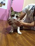     
: eEPLXRHfrh4.jpg
: 11
:	152.6 
ID:	10105716