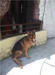     
: ef2155cc4cdd.jpg
: 75
:	31.7 
ID:	10109389