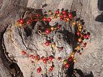     
: 20150726_123137.jpg
: 11
:	235.4 
ID:	10109935