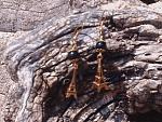     
: 20150726_122941.jpg
: 8
:	175.2 
ID:	10109955