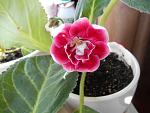     
: DSCN2618.jpg
: 20
:	103.1 
ID:	10112489