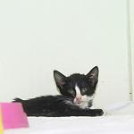     
: BYit8CTh2Dc.jpg
: 47
:	28.4 
ID:	10113532
