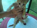     
: P_20150726_183724.jpg
: 20
:	151.6 
ID:	10114279