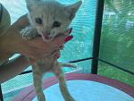     
: P_20150726_183734.jpg
: 21
:	226.3 
ID:	10114280