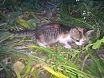     
: P_20150727_203618.jpg
: 12
:	177.9 
ID:	10114282