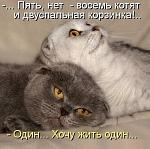     
: akntKle0wr8.jpg
: 7
:	46.0 
ID:	10114392