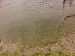     
: DSC_0447.jpg
: 38
:	125.1 
ID:	10116898