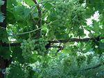     
: DSC03630.jpg
: 30
:	167.9 
ID:	10119031