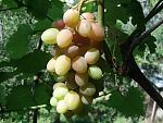     
: DSC03629.jpg
: 17
:	128.7 
ID:	10119056