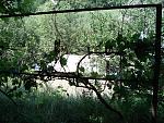     
: DSC03628.jpg
: 15
:	304.1 
ID:	10119067