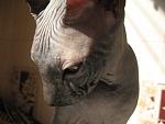     
: IMG_7216.jpg
: 24
:	134.6 
ID:	1012214