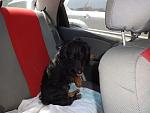     
: DSC03601.jpg
: 42
:	155.5 
ID:	10122905