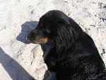     
: P9231869.jpg
: 30
:	168.9 
ID:	10122907