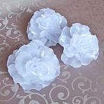     
: 199339277_w640_h640_banty_i_bantik__zvoditelya.jpg
: 33
:	126.4 
ID:	10124095