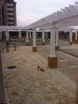     
: IMG_3900.jpg
: 27
:	96.5 
ID:	10131232