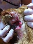     
: IMG_2078.jpg
: 18
:	90.2 
ID:	10134097