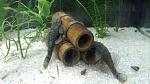     
: IMG_20150803_215946.jpg
: 330
:	116.8 
ID:	10139137