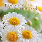     
: ромашки.jpeg
: 14
:	109.2 
ID:	10140666