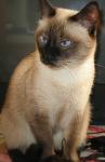     
: IMG_2401.jpg
: 29
:	60.4 
ID:	1014876