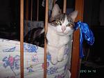     
: PICT2993.JPG
: 17
:	85.2 
ID:	1015161