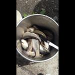     
: uploadfromtaptalk1439140693105.jpg
: 55
:	134.8 
ID:	10160834