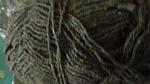     
: SAM_0579.jpg
: 42
:	68.8 
ID:	10162267