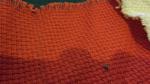     
: SAM_0585.jpg
: 27
:	71.1 
ID:	10162292