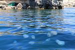     
: IMG_7727.jpg
: 30
:	165.8 
ID:	10164207