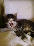     
: Фото-0753.jpg
: 14
:	60.8 
ID:	10164359