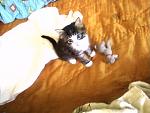     
: Фото-0757.jpg
: 13
:	59.5 
ID:	10164362