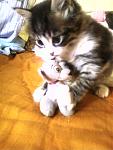     
: Фото-0760.jpg
: 13
:	83.5 
ID:	10164363