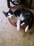     
: Фото-0745.jpg
: 16
:	78.9 
ID:	10164580