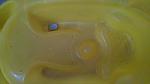     
: IMG_20150811_111425508.jpg
: 17
:	56.7 
ID:	10165707