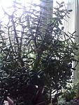     
: 01032014676.jpg
: 54
:	140.0 
ID:	10166200