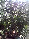     
: 01032014677.jpg
: 64
:	143.3 
ID:	10166201