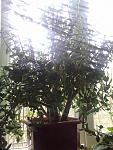     
: 01032014674.jpg
: 67
:	118.7 
ID:	10166236