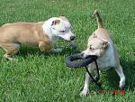     
: DSC07098.jpg
: 16
:	236.7 
ID:	1016708